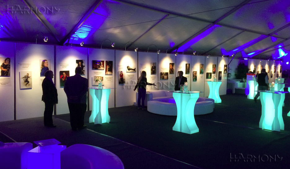 Make Your Celebration Special with Modern Furniture Rental