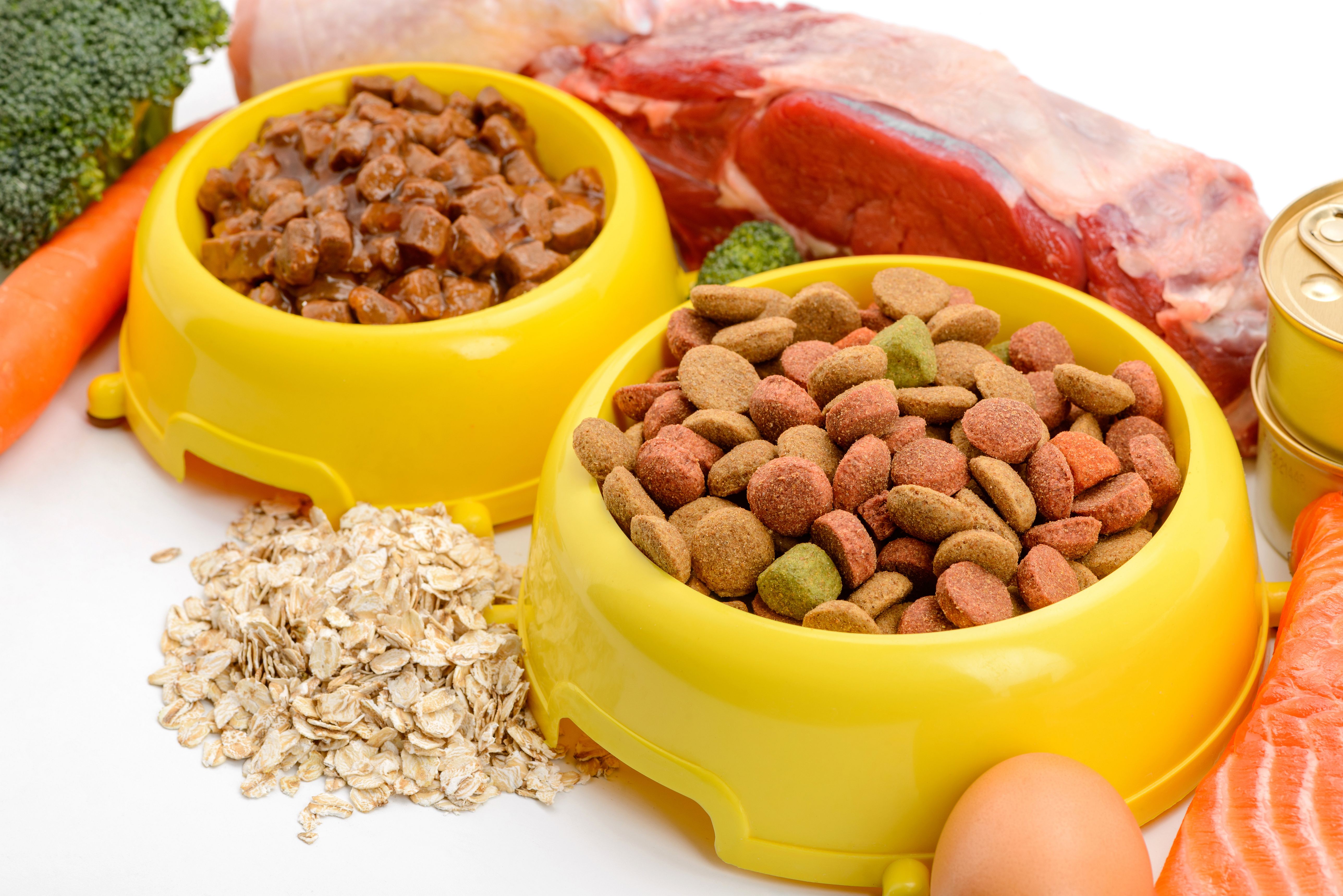 Allergies and How Koiran Märkäruoka Can Help Relieve It