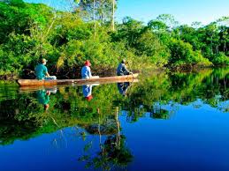 Manu National Park Tours from Cusco: A Journey Into the Heart of the Amazon