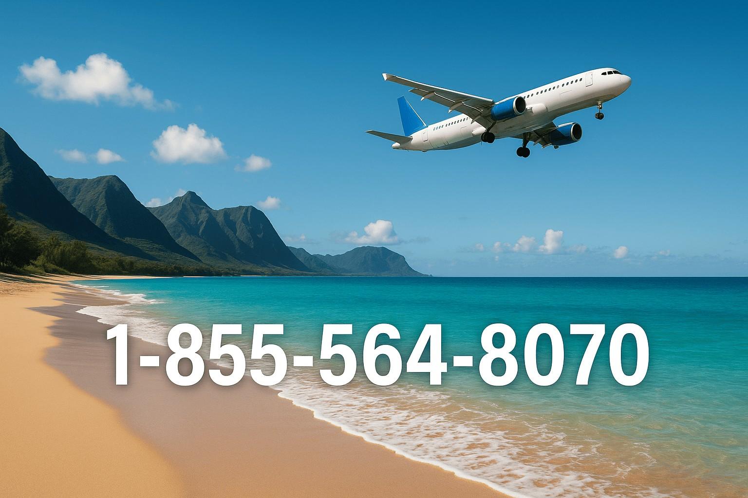 How To Communicate Someone At Alaska Airlines Customer Service By Phone, Chat And Email: A Full Comprehensive Guide