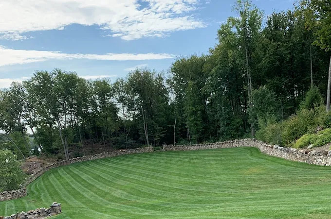 Lawn Care Service in Waterbury, Connecticut: Why All Lawn Care, N.V.L.M INC. is Your Go-To Expert