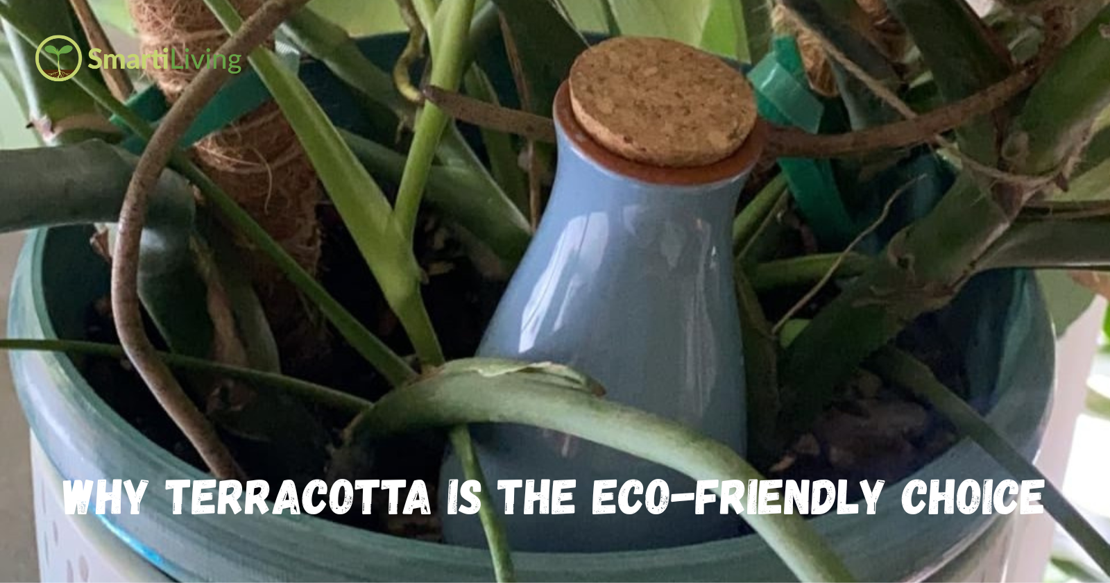 Smartiliving: The Ultimate Solution for Effortless Plant Care with Self-Watering Systems