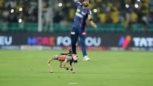 Tech Mascots Take Over: Inside IPL’s Robot Dog Debut