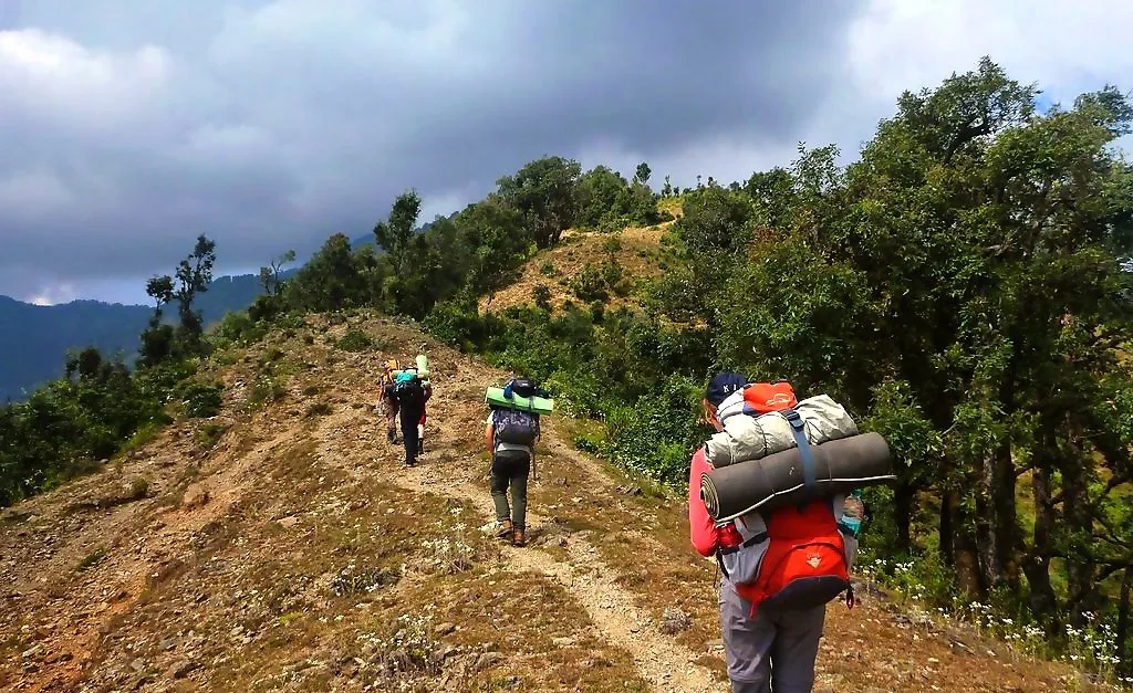 Explore Nature with the Best Nag Tibba Trek Package