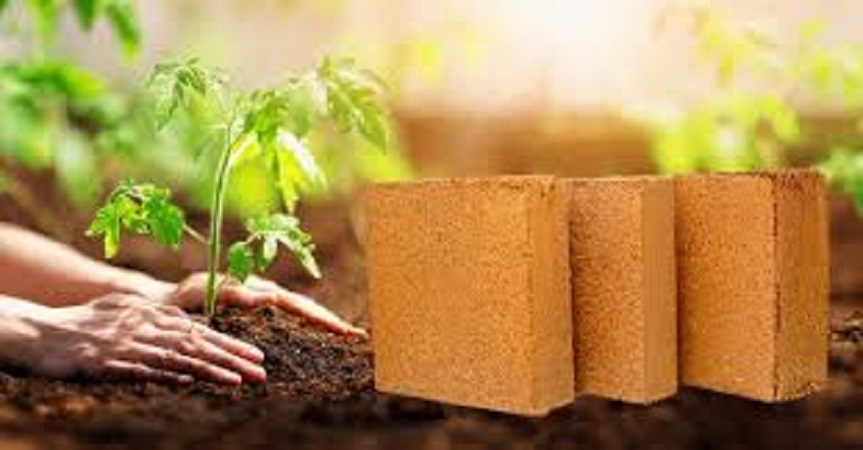 Cocopeat Brick Manufacturing Plant Cost 2025: Raw Materials Requirement and Profit Margin