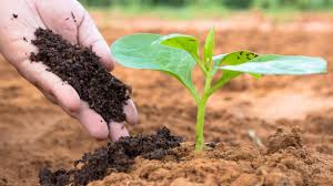 Global Organic Fertilizers Market to Reach USD 14.11 Billion by 2030, Driven by Sustainable Agriculture Initiatives