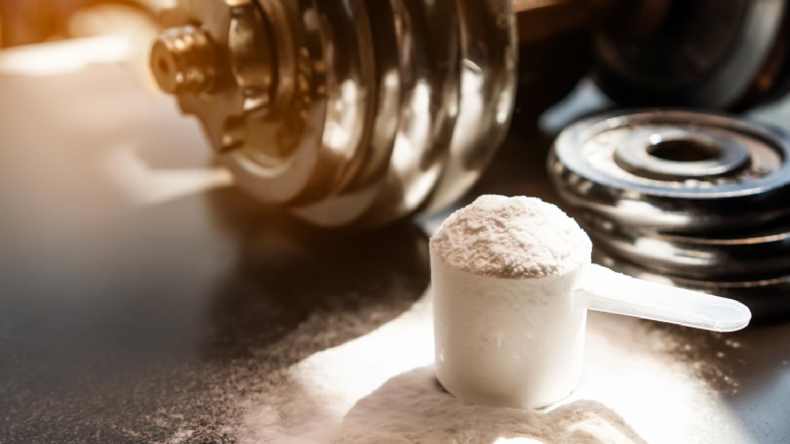 Whey Protein Powder Manufacturing Plant Cost, Setup Layout and Machinery Requirements | Detailed Project Report