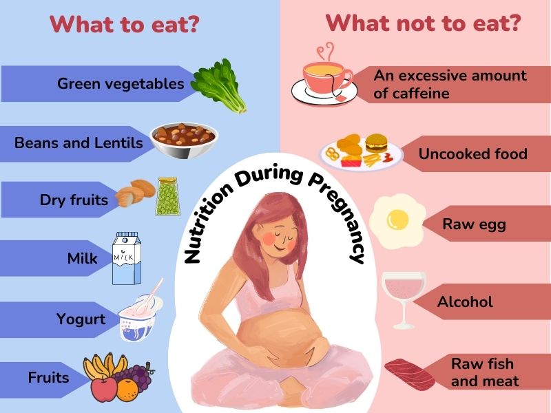 Pregnancy Nutrition Made Simple with Expert Guidance