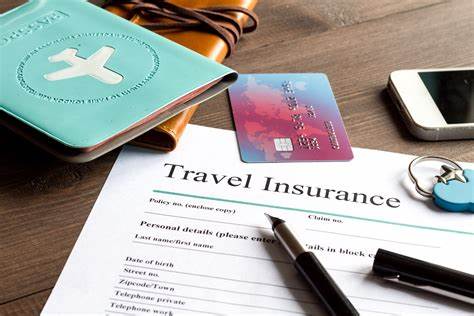 American International Group, Inc. and its Strategy in Germany Evolving Travel Insurance Market