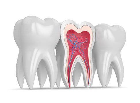When Do You Need a Post and Core After Root Canal Treatment?