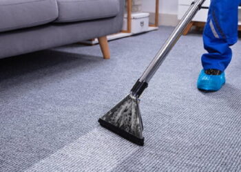 The Pros and Cons of DIY Carpet Cleaning vs. Professional Services
