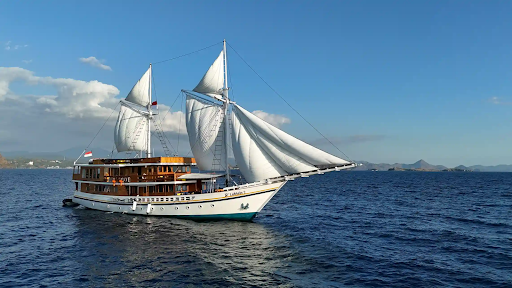 Best of Komodo: Dive, Tour, and Explore with the #1 Rated Companies