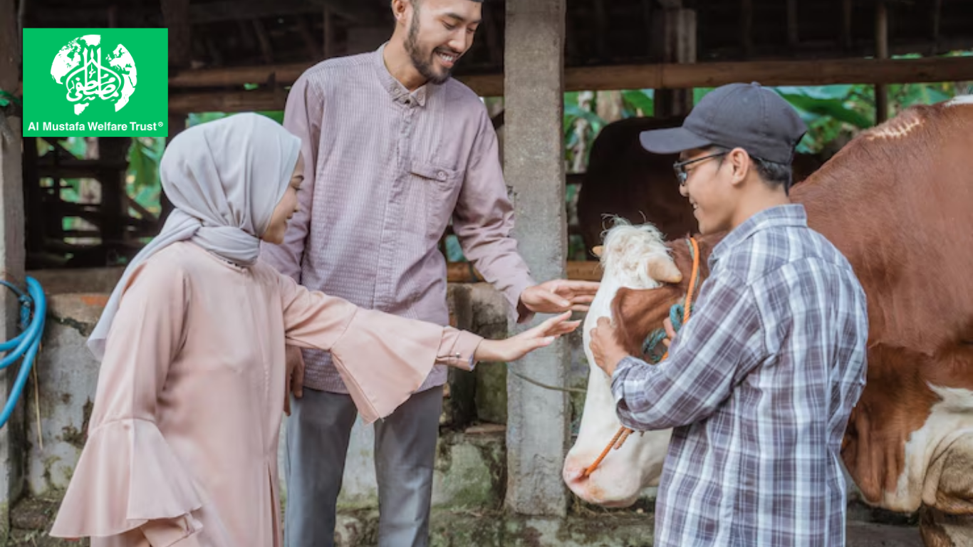 2025 Qurbani Guide: How to Find the Cheapest Qurbani Online for Your Family Without Compromising on Values