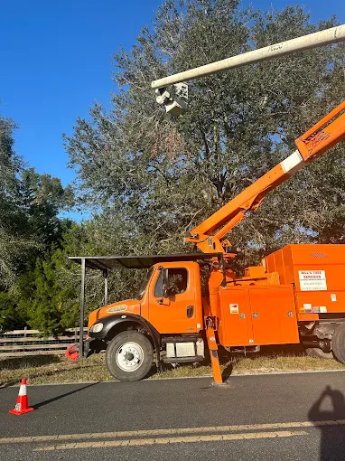 Tree Service in Villa Rica, GA