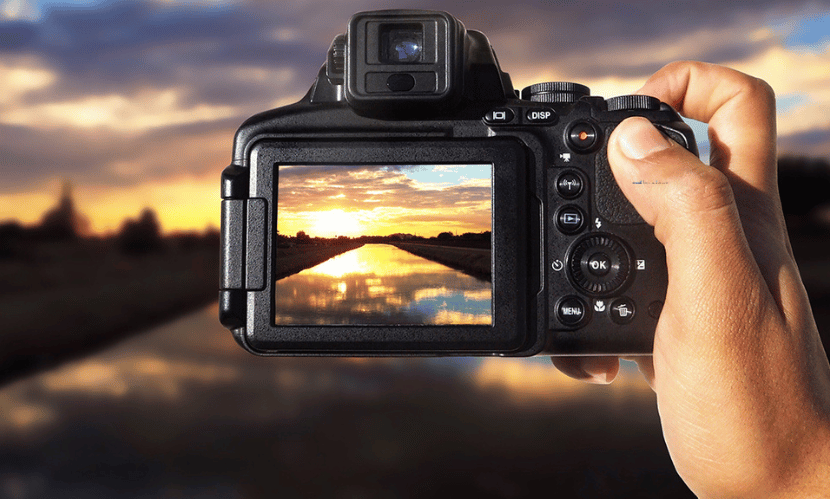 Digital Camera Buying Guide: Insights from the Top Photography Websites