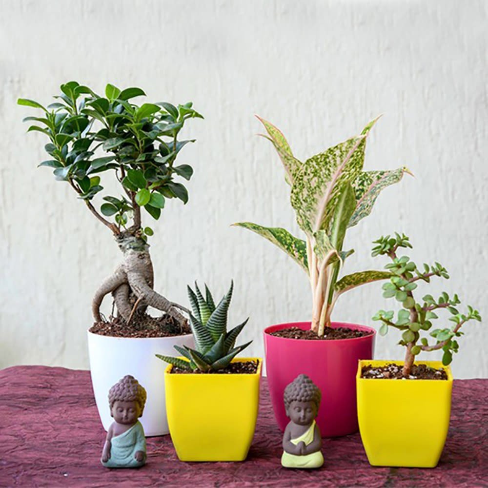 Home Decor Gifts Online Transform Every Corner into a Style Statement