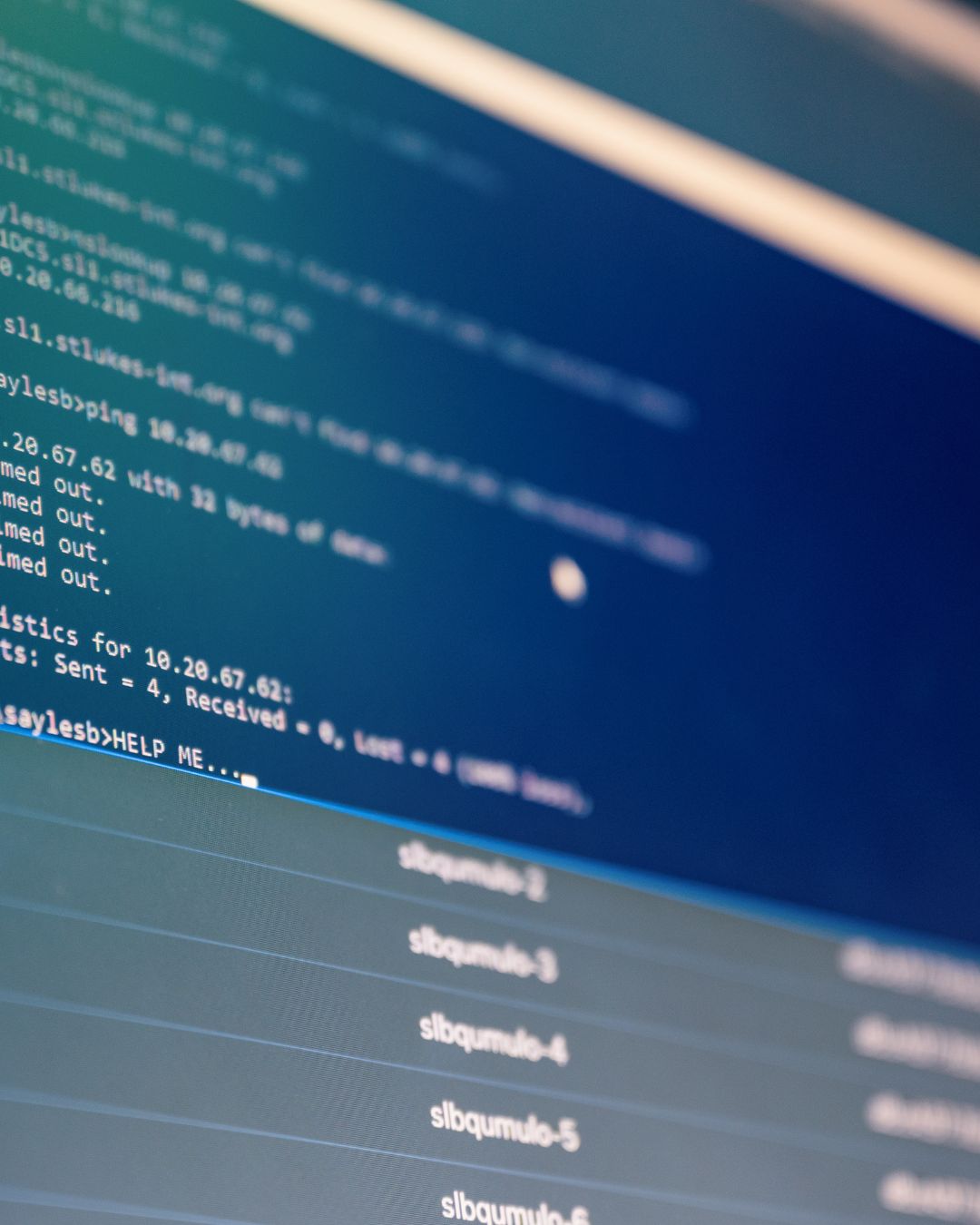 How to Find the Best Shared Hosting for Your Budget