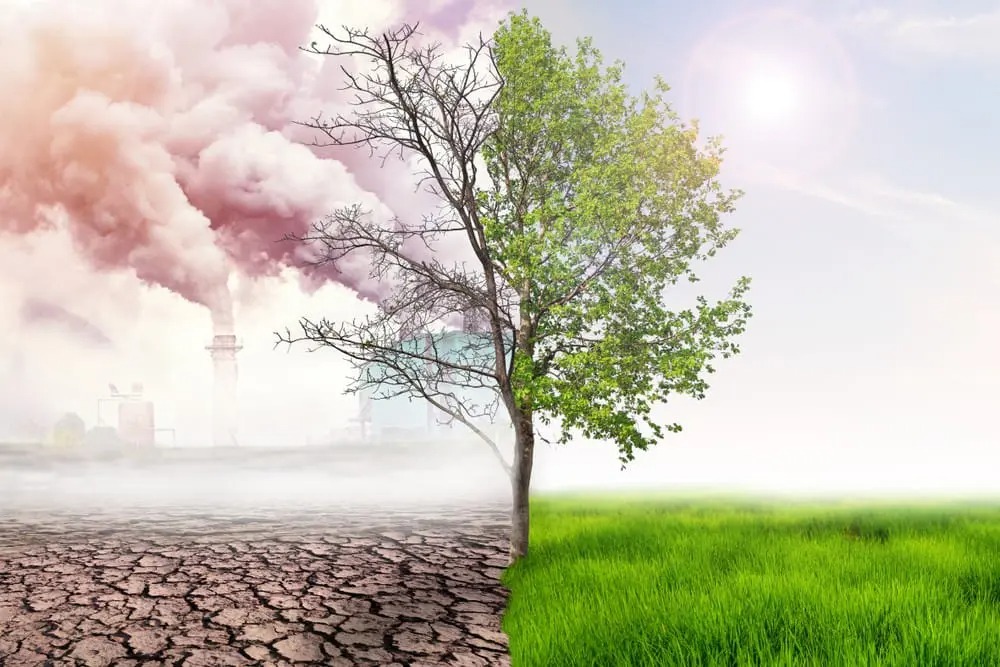 Bio-Based Ozone Manufacturing Manufacturing Plant Report 2025, Unit Operations, Raw Material Requirements and Cost Involved