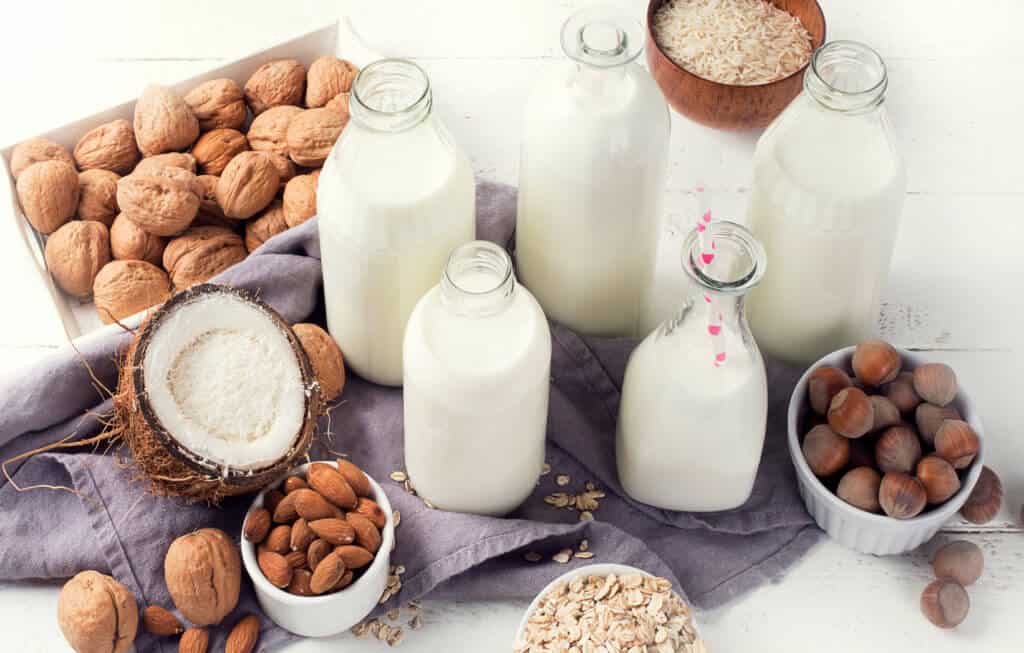 Latin America Plant-Based Dairy Products Market Set to Surpass USD 2.5 Billion by 2030, Driven by Health and Sustainability Trends