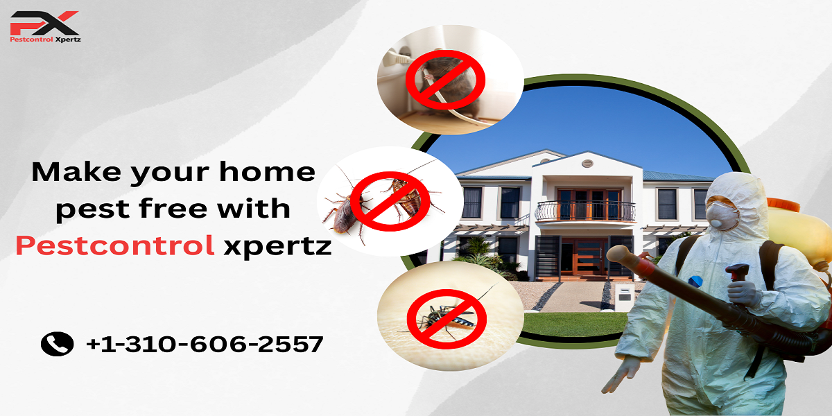 The Benefits of Pest Control in Los Angeles, CA