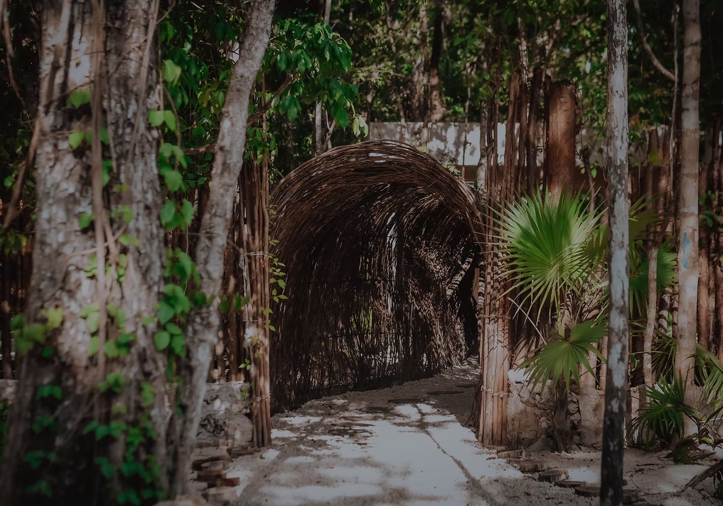 Rediscover Your Inner Light: Why a Spiritual Healing Retreat in the Mexican Jungle Might Be Exactly What You Need