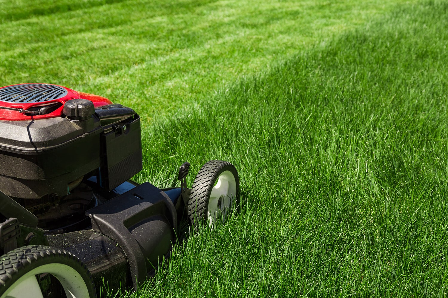 The Rise of Eco-Friendly Lawn Care Products Market in Urban China: A Sustainable Revolution