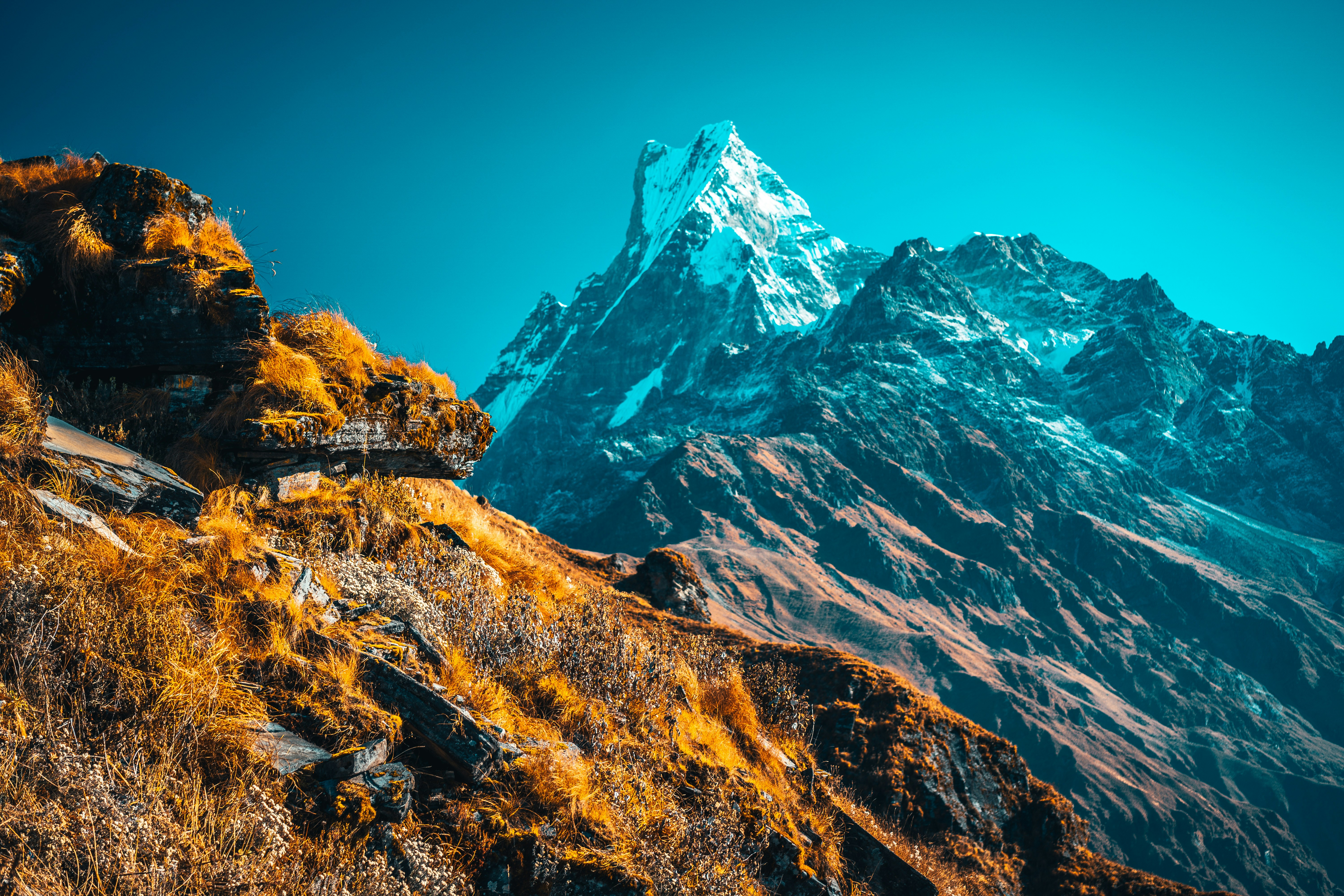 Mardi Himal Trek – A Peaceful Trail with Big Mountain Views
