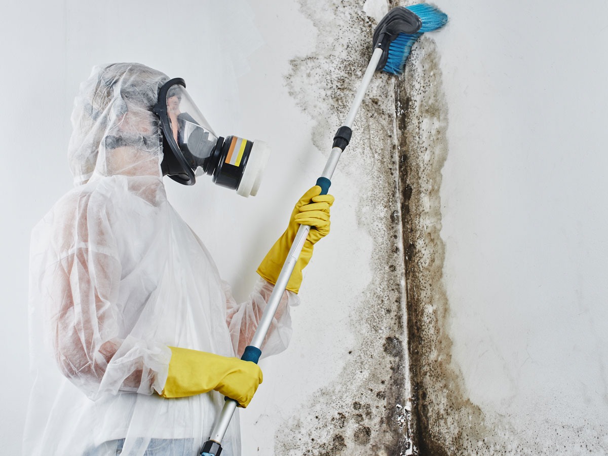 Key Factors for Effective Mold Mitigation in Tigard OR