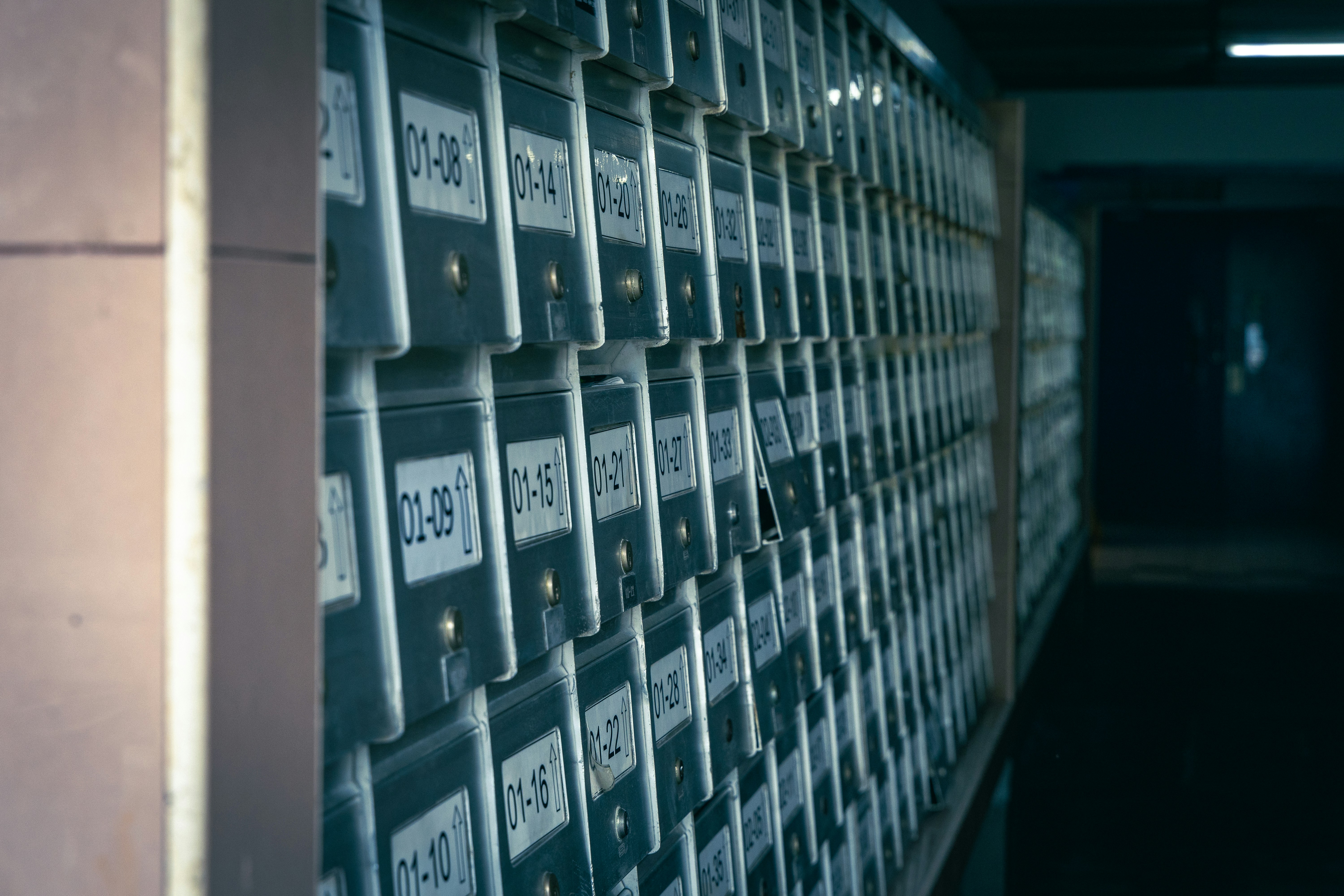 The Future of Database Management in an AI-Driven World