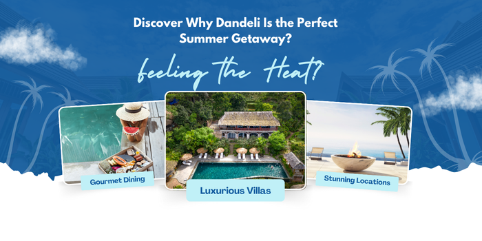 Feeling the Heat? Discover Why Dandeli Is the Perfect Summer Getaway