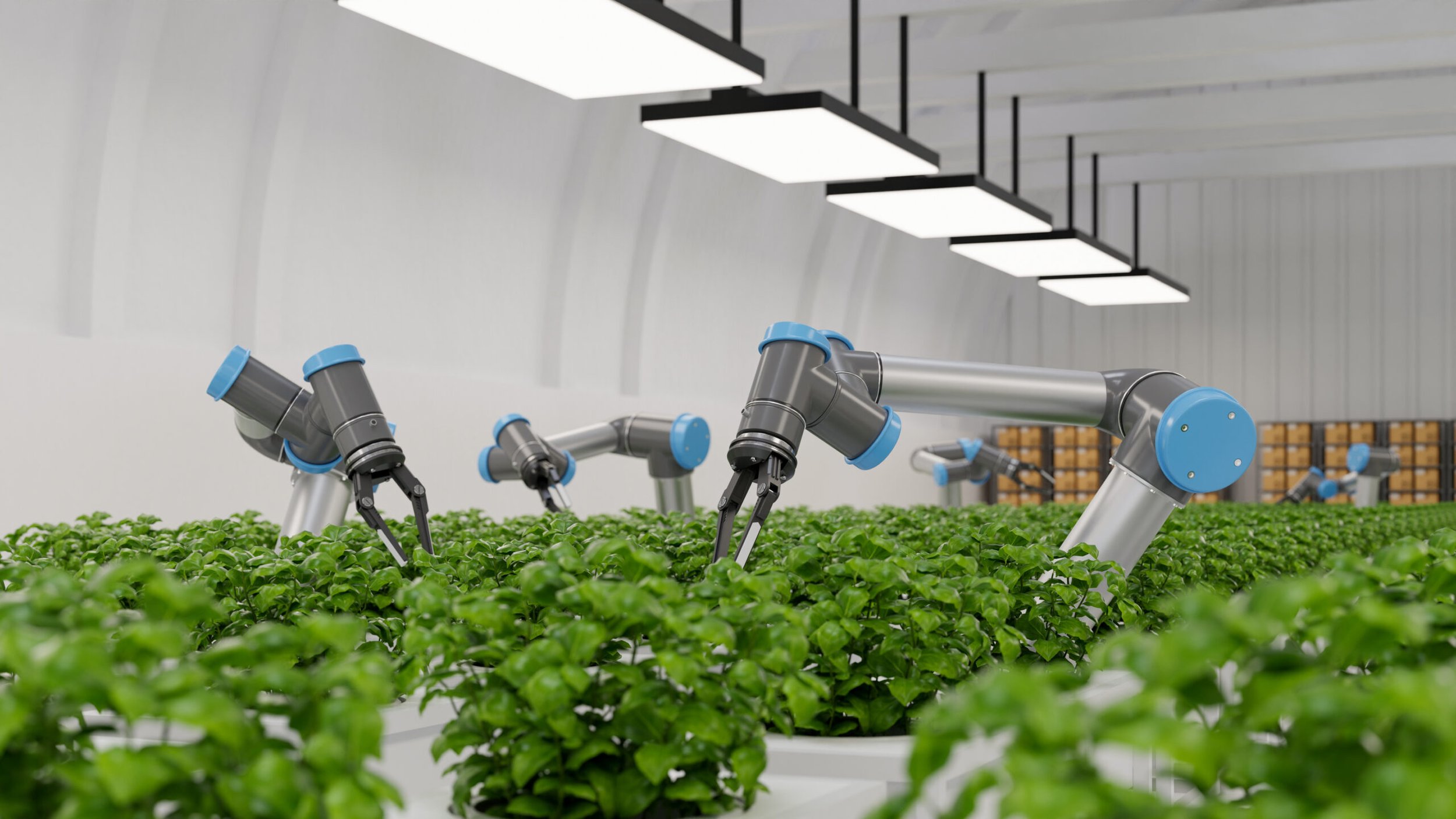 Mobile App Development for Agriculture: Empowering Farmers on the Go