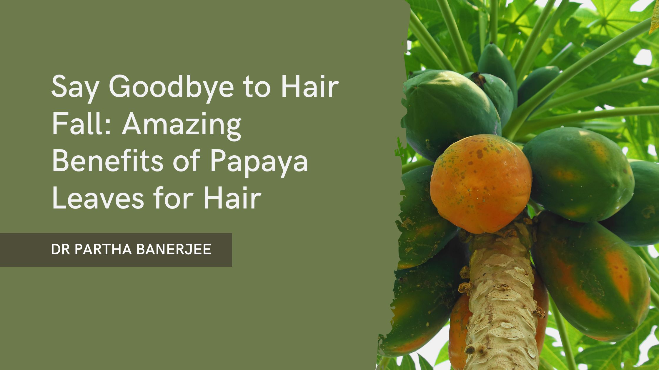 Say Goodbye to Hair Fall: Amazing Benefits of Papaya Leaves for Hair