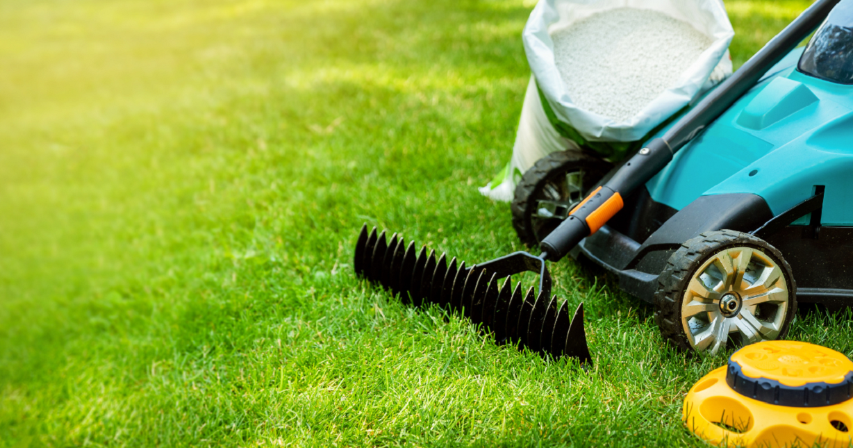 Honda's Strategic Initiatives and Innovations in Japan's Lawn Care Products Market
