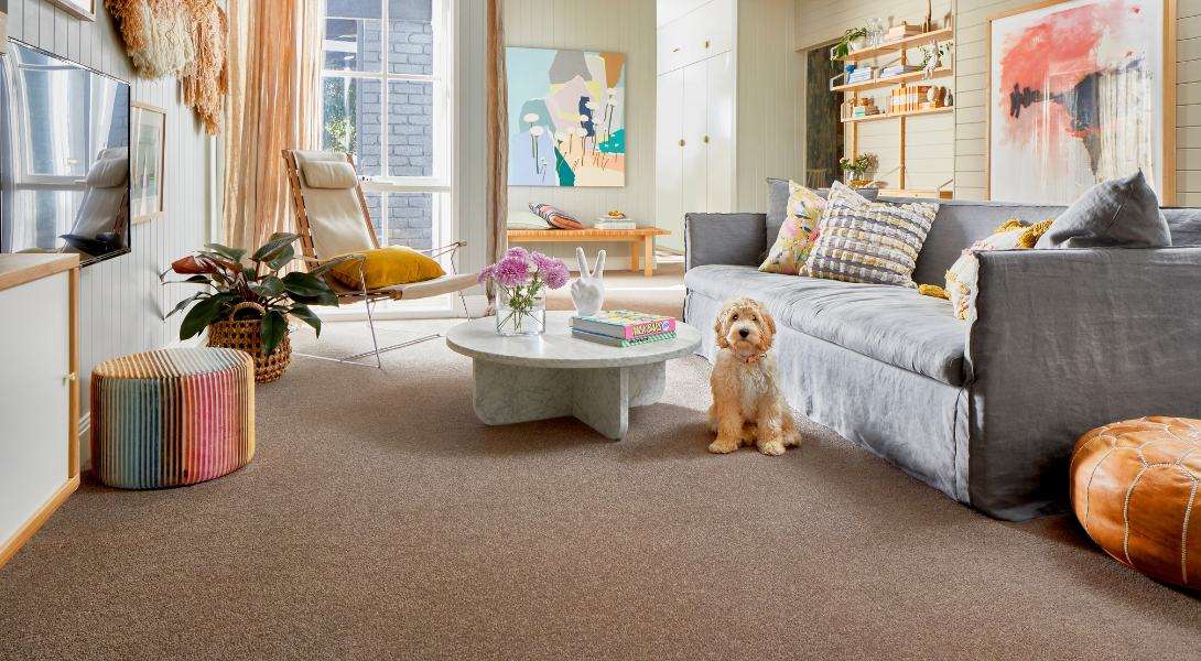 8 Flooring Trends to Inspire Your Next Home Renovation