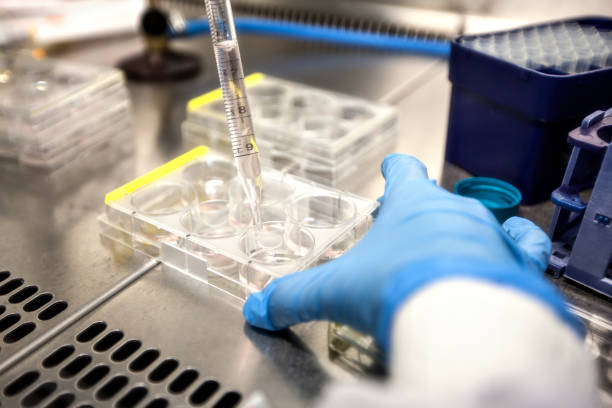 How Is Chile In-Vitro Diagnostics Market Evolving? A Look at the Latest Trends and Innovations