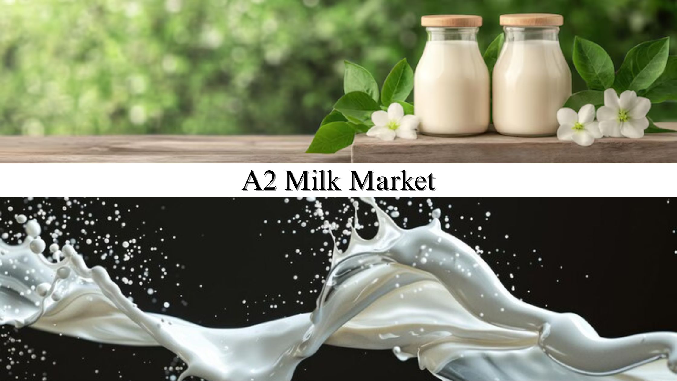 A2 Milk Market Size, Share, Opportunities and Competitive Forecast to 2032