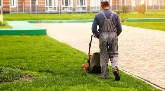 Complete Design And Landscape Solutions For Every Space