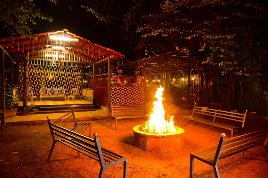 How Can You Find the Best Dandeli Resorts Booking Deals Online?