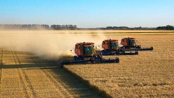 Revolutionary Conceptualization of Capitalist Farming