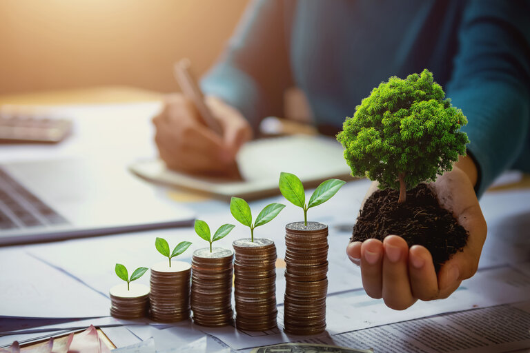 Accountant in Portugal: Your Guide to Smart Accounting in Portugal