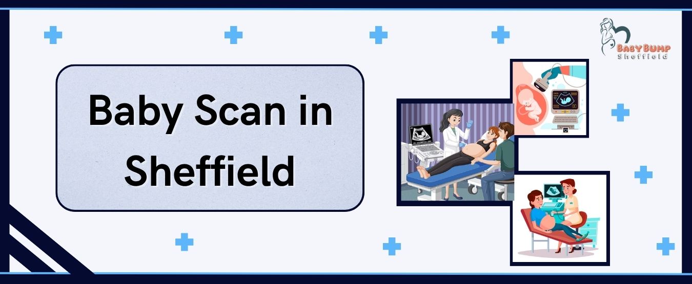 Baby Scan in Sheffield