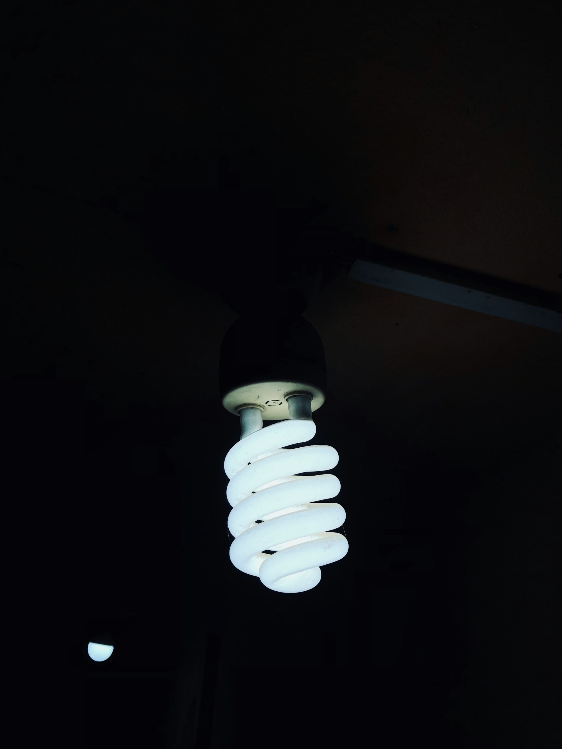 LED vs. Incandescent vs. CFL: Which Light Bulb Is Best?