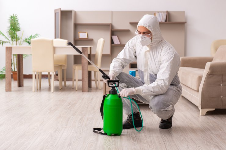 How Much Do Pest Control Companies Charge? Find Out Now!