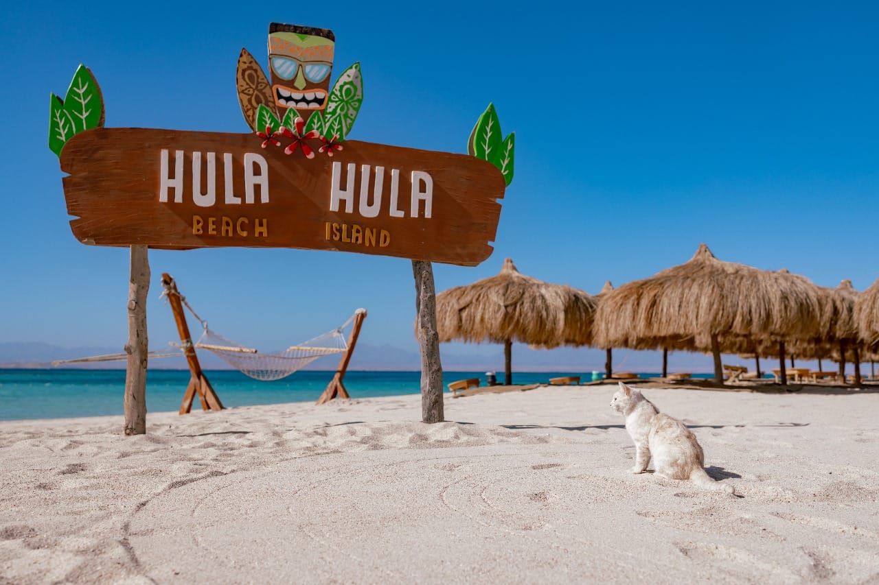 Hula Hula Island Hurghada trip
