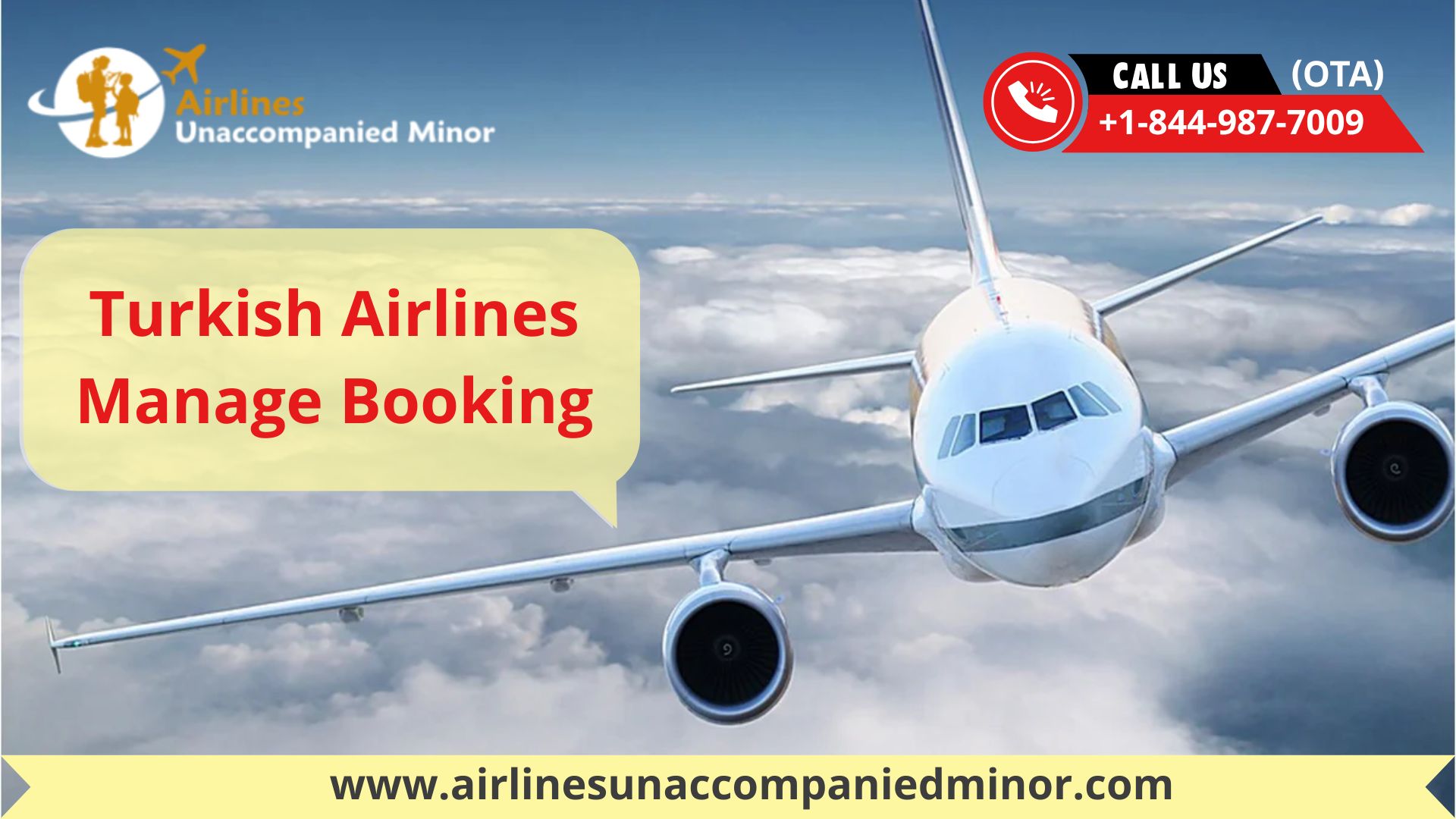 How to check and manage booking on Turkish Airlines?
