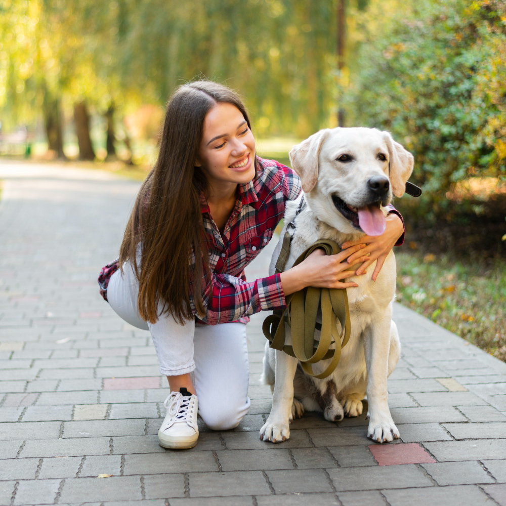 Do You Qualify for an Emotional Support Animal Letter Online?