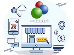 Best E-commerce Development Companies in France