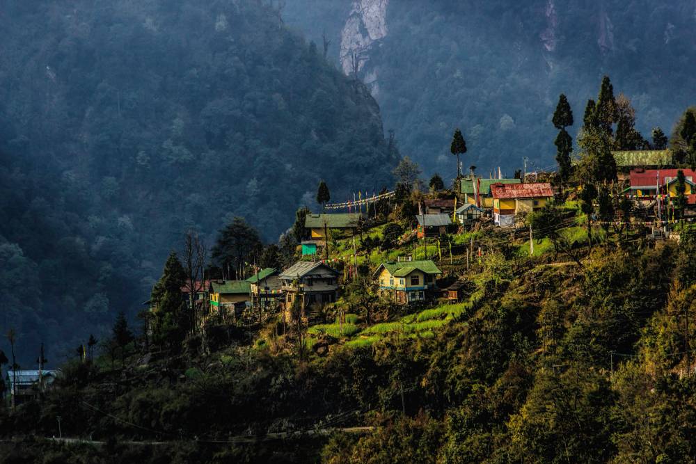 Affordable Darjeeling Tour Packages from Delhi You Can’t Miss