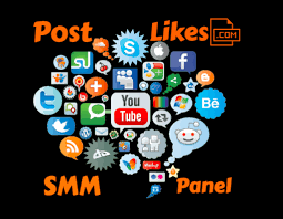 Most Reliable SMM Panels for Explosive Instagram Growth