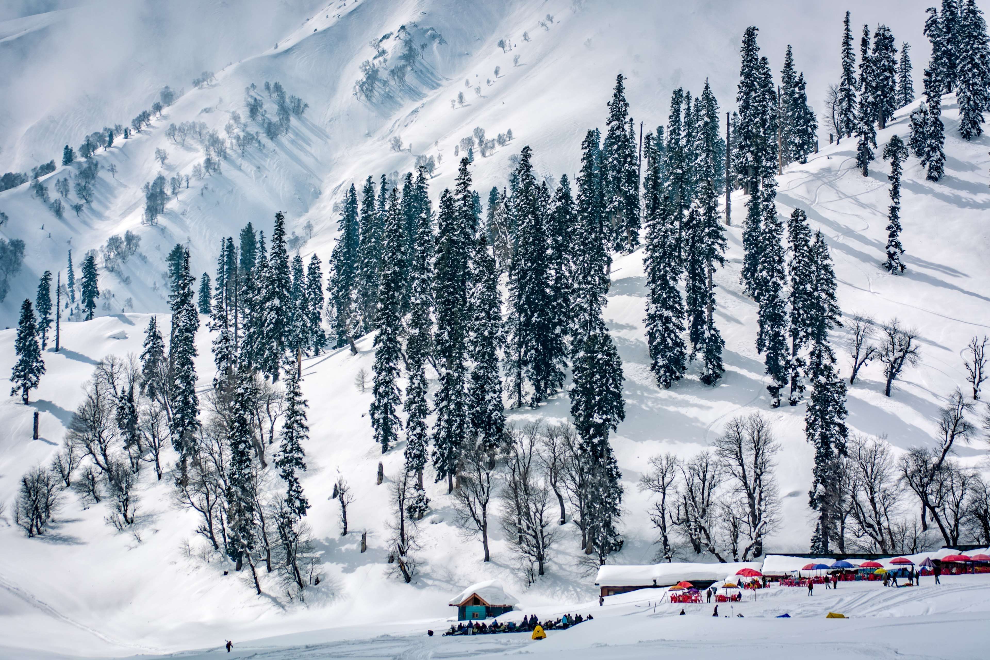 Reviving Kashmir Tourism After the Pahalgam Terror Attack: A Journey of Hope and Resilience